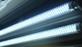 Serie: Tubo de leds UVGI (0, 6000-7000K+