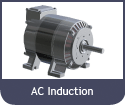 AC Induction Motor Only