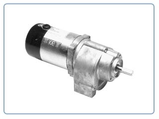 Parvalux Gearmotors    -Permanent Magnet Motor  (12VDC ,50rpm)