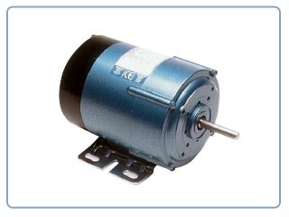 Motores eléctricos Parvalux    -Motor tipo conmutador (200/220VDC ,)