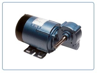 Parvalux Gearmotors    -Commutator Motor (200/220VDC ,100rpm)