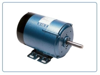 Motorreductores Parvalux    -Motor tipo conmutador (220VDC ,550rpm)