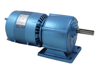 Motoréducteurs Parvalux    -Moteur Induction (220VAC ,16rpm)