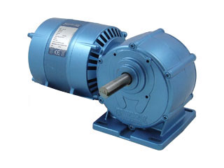 Motoréducteurs Parvalux    -Moteur Induction (220/240VAC ,0,5rpm)