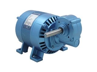 Motoréducteurs Parvalux    -Moteur Induction (220/240VAC ,62rpm)