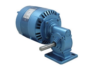 Motoréducteurs Parvalux    -Moteur Induction (220/380VAC ,456rpm)