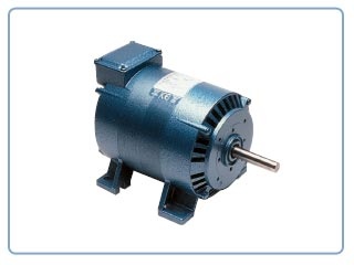 Motores eléctricos Parvalux    -Moteur Induction (100/120VAC ,)