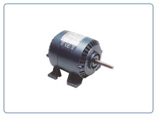 Motores eléctricos Parvalux    -Moteur Induction (220VAC ,)
